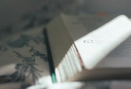 《围城》读后感1500字