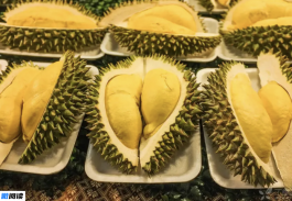 榴莲不熟要怎么放才能熟？几个小妙招分享给大家